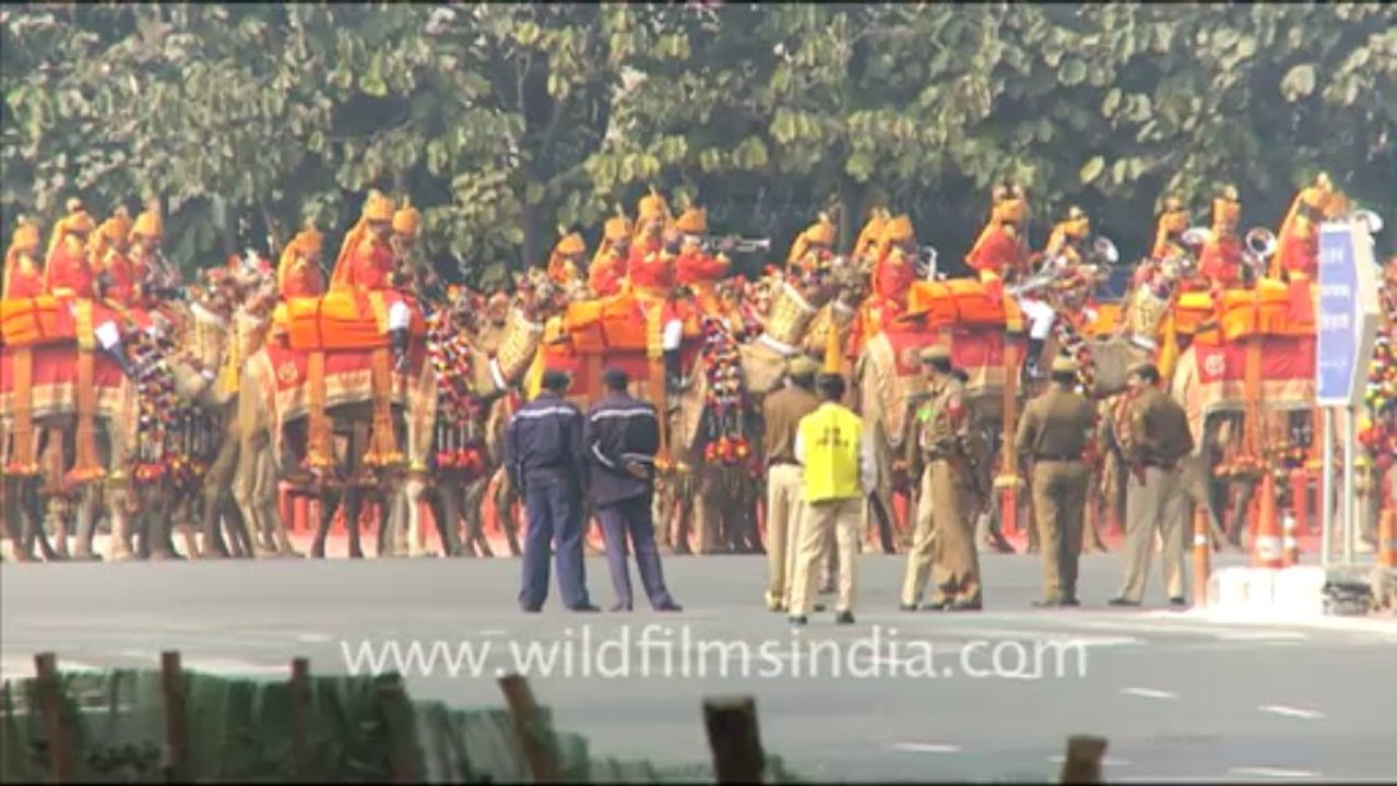 1213.March of Camels, Republic Day Rehearsal 2011