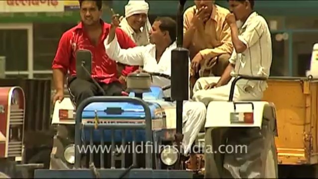 1226.Tractors in the fields...