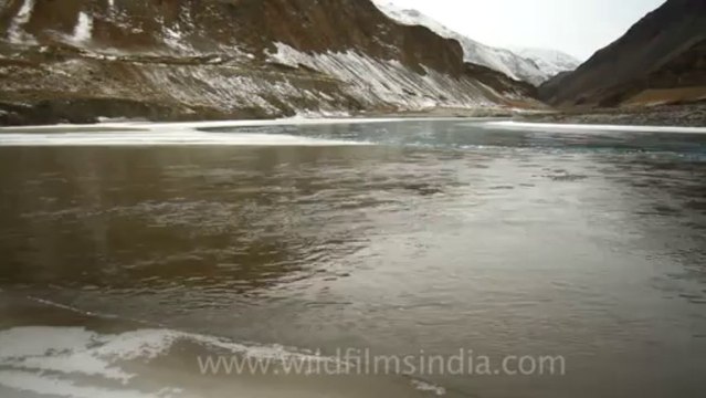 1236.Chadar River, Ladakh