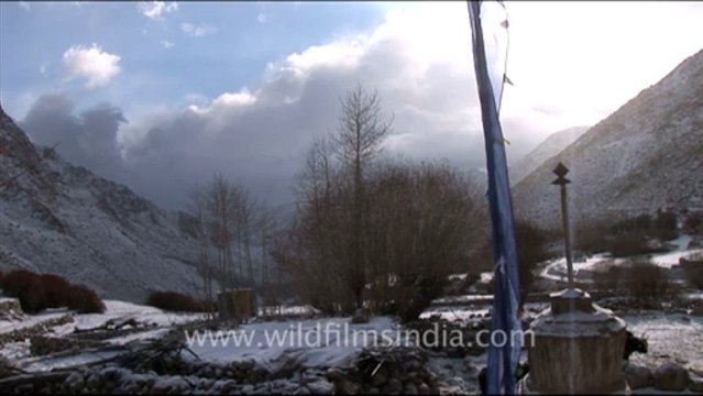 1256.Mountains covered with snow, Ladakh