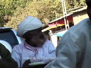 1342.Maldharis in Gujarat