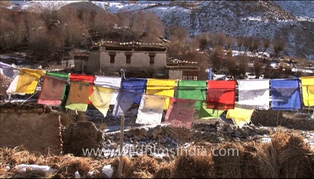 1361.Prayer Flags in Ladakh