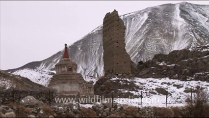1364.Monastery and chorten in Ladakh