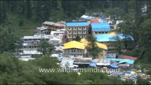 1376.Landscapes in Valley of flowers