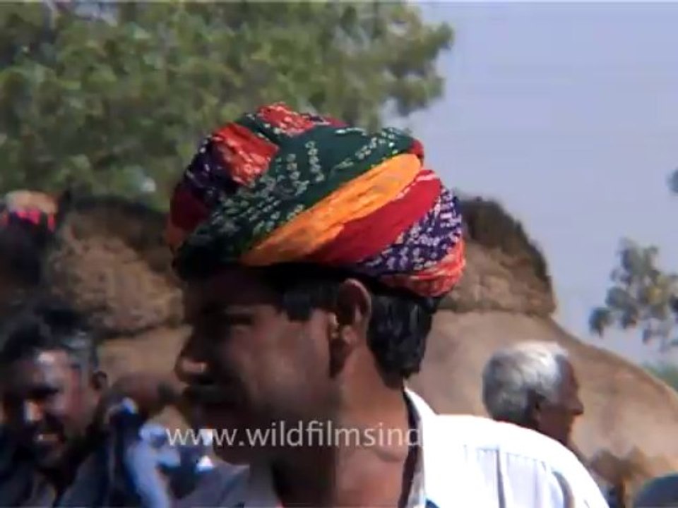 1386.Horse trading at Pushkar Fair
