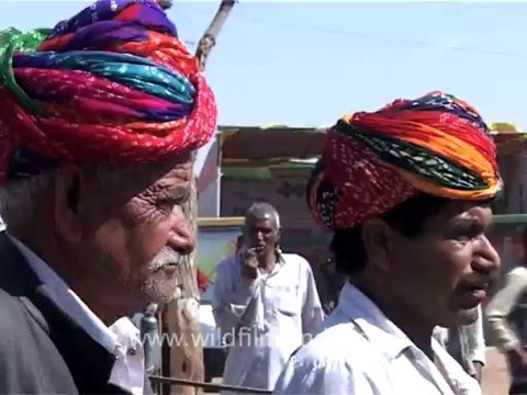 1387.Horses in Pushkar fair, Rajasthan