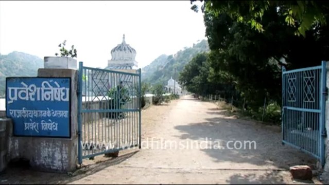 1427.Jaisamand Lake in Udaipur