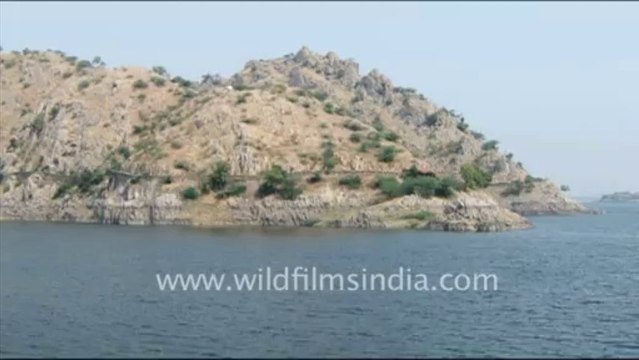 1429.Statue of Elephant at Jaisamand Lake, Udaipur