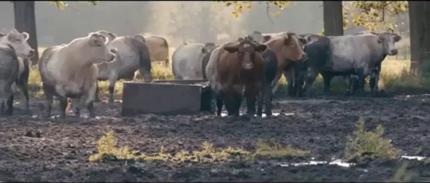 W kręgu miłości (2012) Cały Film Do Pobrania Napisy PL [Najlepsza Jakość]