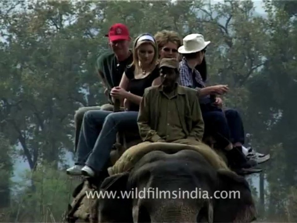 1521.Elephant ride in Corbett National Park