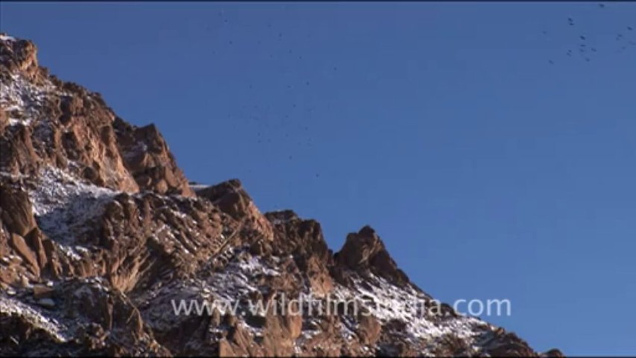 1546.Landscapes in Ladakh, Kashmir