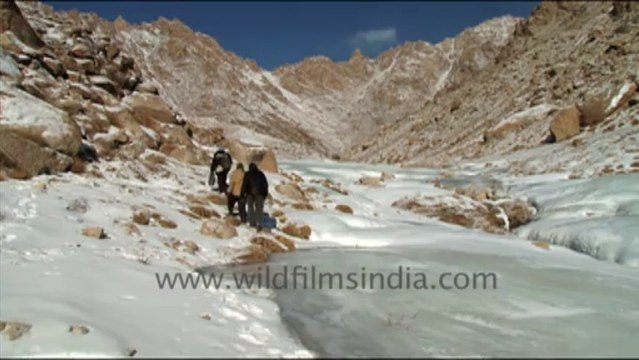 1551.People trekking in iced over and wintery Ladakh