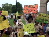 Save the tiger-delhi-schools-6