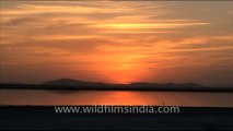 1622.Sunset over the salt pans of Sambhar Lake, Rajasthan