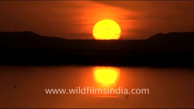 1626.Sunset over Sambhar Lake