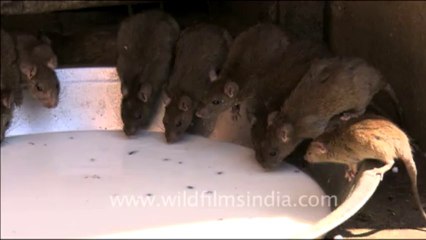 1634.This is the kitchen of the hotel in which I stayed