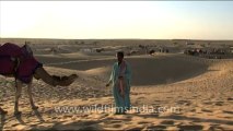 1663.Sam Sand Dunes - Camel Safari