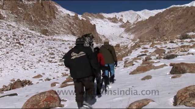 1668.Trekking in Ladakh