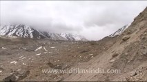 1733.View near Gangotri Gaumukh glacier