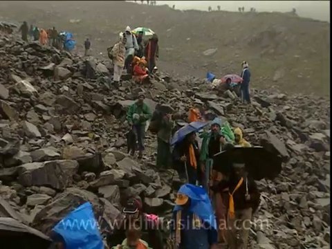 1871.Trekking on the Nanda Devi Raj Jat