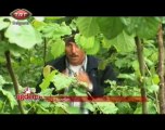 Çiğdemin Rotası 18.09.2011 TRT Belgesel