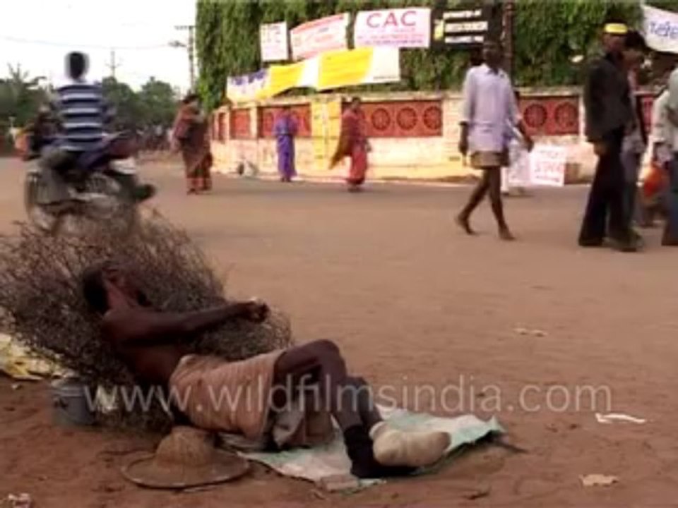 198. Bed of thorns-MPEG-4 800Kbps