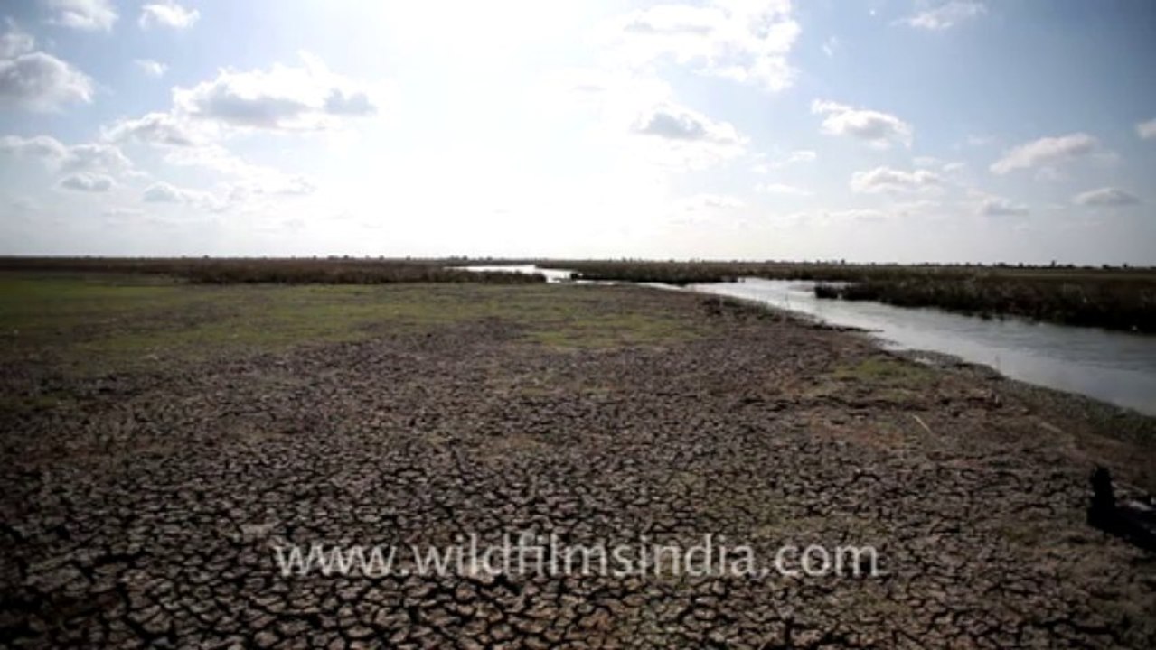 2001.Drought in Gujarat