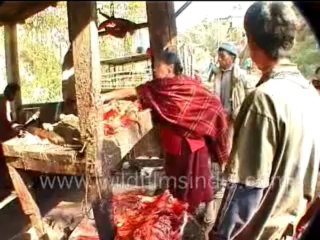 204. Animal Slaughter-MPEG-4 800Kbps