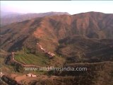 2045.Terraced fields in the Himalaya! Pinjore to Manali chopper flight in Himachal Pradesh
