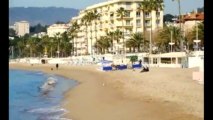 Vente - Appartement villa Cannes (Midi) - 2 450 000 €