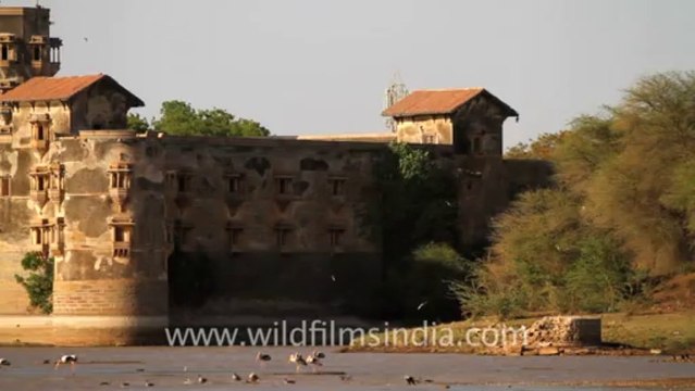 2072.Halvad Palace in Little Runn of kutch