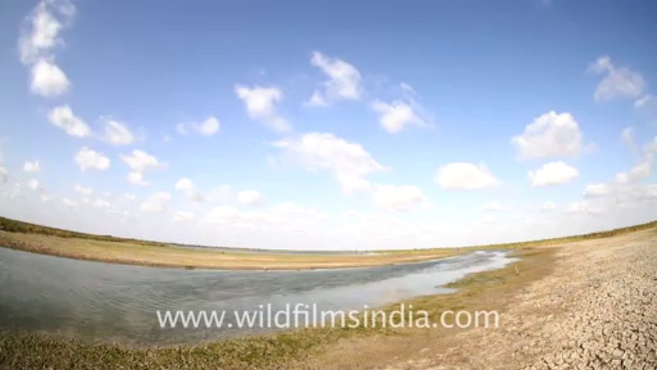 2076.Time Lapse of River, Gujarat