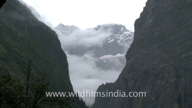 2195.View of valley from Valley of Flowers