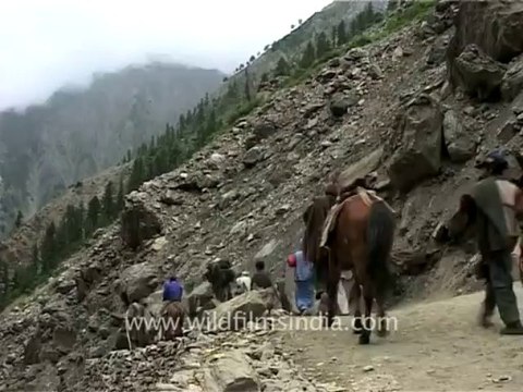 2230.Fast flowing stream in Amarnath