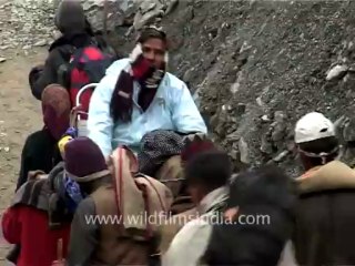 2234.Devotees being carried on ponies and palki in Amarnath trek