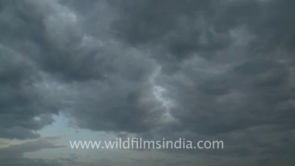 2237.Monsoon clouds come rolling in over India!