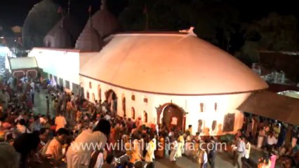 2293.Devotees singing and dancing ar Kamakhya temple