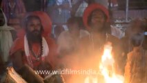 2301.Sadhus chanting during havan at kamakhya temple