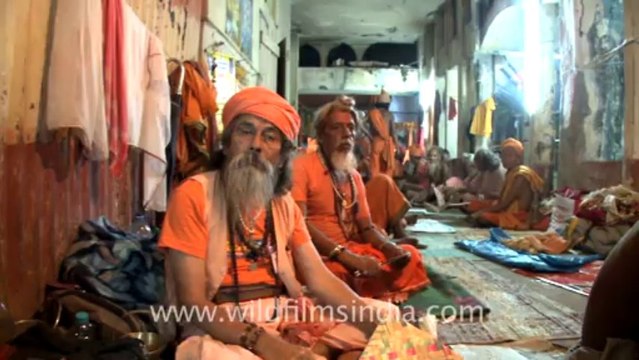 2322.Group of sadhu baba resting at Kamakhya