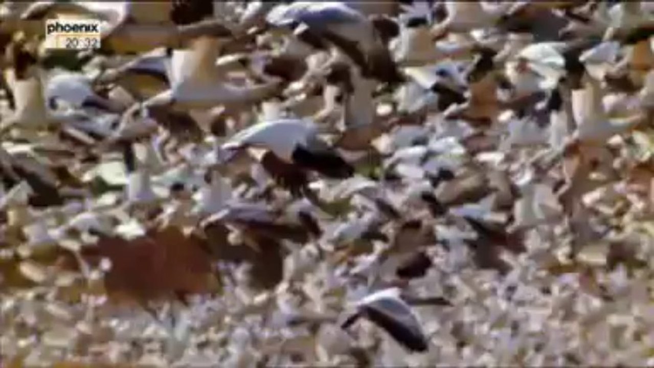 1492_Der Kolumbus Effekt-Teil1