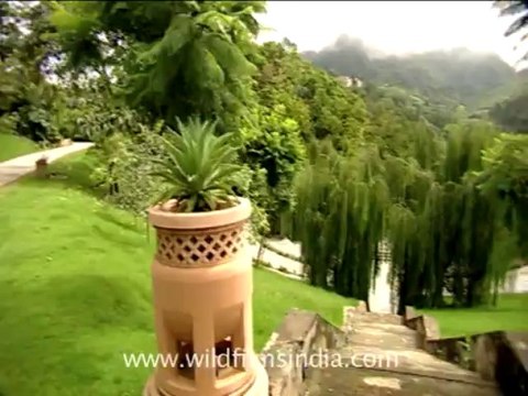 2386.Ananda spa resort in Narendranagar