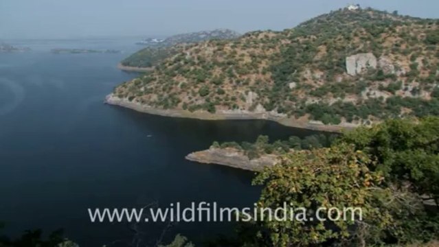 2457.Jaisamand lake, Udaipur