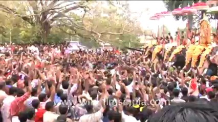 2426.Elephant Festival, Kerala