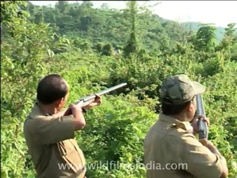 2497.Brahmaputra River in Assam