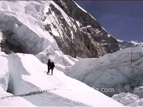 2511.Bridging the icy chasm!