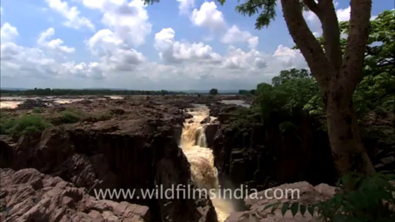 2514.Raneh Falls, Panna