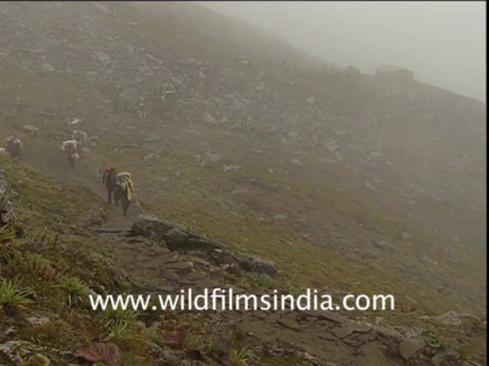 2543.Nanda devi trek in Garhwal