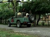 2549.Forest guard at check post in Corbett national Park
