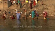 2576.Holy Dip in Ganga, Varanasi