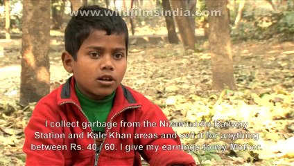 2606.Eternal Eclipse part-1